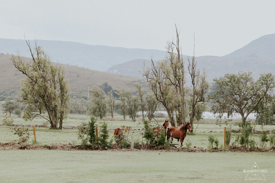 Alternative Destination Wedding Photographer, Villa de Leyva Fotografo de Matrimonios