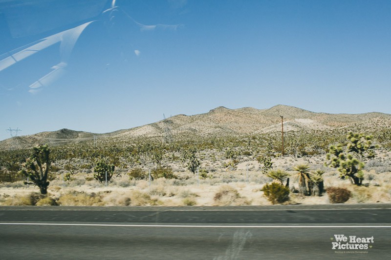 Roadtrip_weheartpictures_070