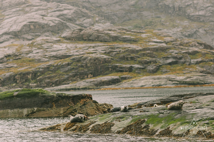 Isle os Skye| Loch Coruisk Humanistic Wedding | Alternative Wedding Photographer | Elgol | Misty Isle Boat Trips