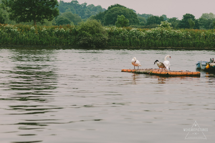 Orleans House Gallery  Wedding Photographer - Alternative Wedding Photography 