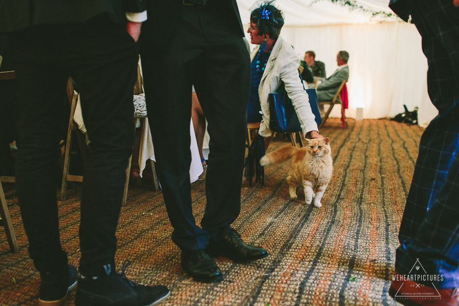 Alternative Wedding Photography Cornwall Port Isaac